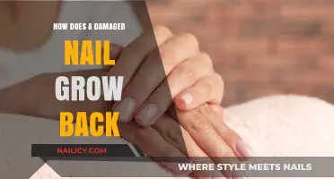 Repairing Damaged Nails: A Guide to Healthy Growth