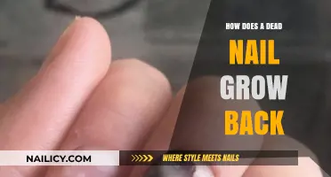 Dead Nail Revival: Natural Regeneration