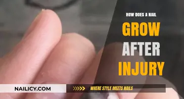 Nail Growth: Healing and Recovery After Injury