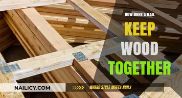 How Nails Secure Wood: The Science Behind Joinery Strength