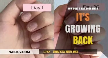 The Journey of Nail Growth: A Visual Guide