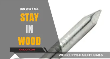 How Nails Grip Wood: The Science Behind Secure Fastening