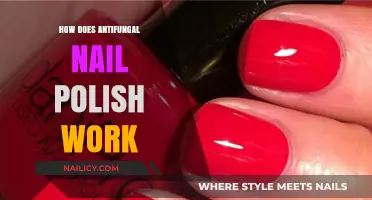 Understanding Antifungal Nail Polish: Mechanism, Benefits, and Effective Application