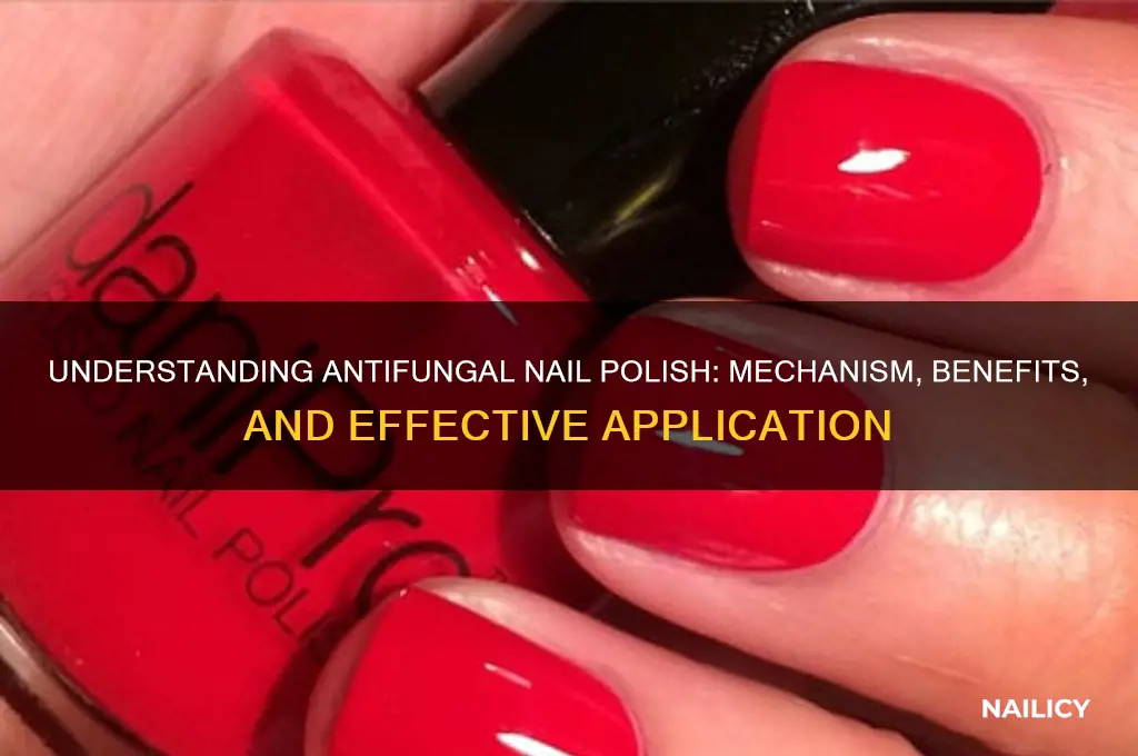 how does antifungal nail polish work