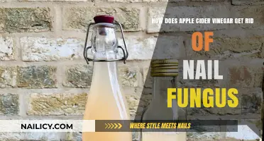 Natural Remedy: Apple Cider Vinegar's Power Against Nail Fungus
