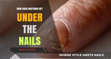 Unseen Invaders: How Bacteria Sneak Under Your Nails
