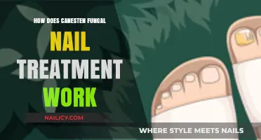 Understanding Canesten Fungal Nail Treatment: Mechanism and Effectiveness Explained