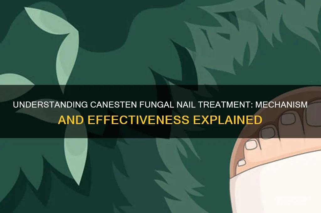 how does canesten fungal nail treatment work