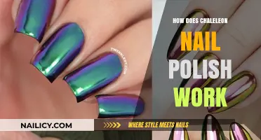 Chameleon Nail Polish Explained: The Science Behind Color-Changing Magic