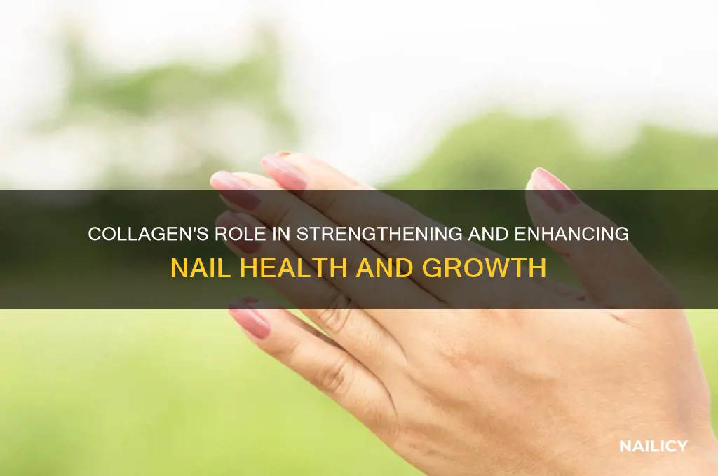 how does collagen help nails