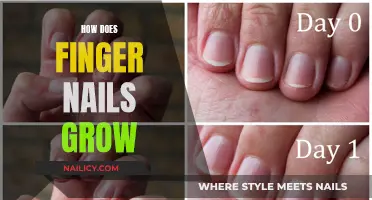 Unraveling the Mystery: A Guide to Nail Growth