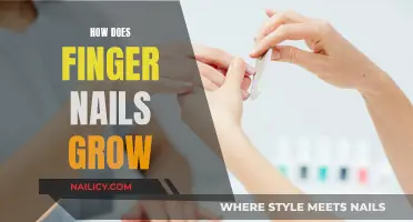 The Science of Fingernail Growth: Understanding the Process