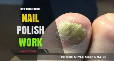 Understanding Fungal Nail Polish: Mechanism, Benefits, and Effective Application Tips