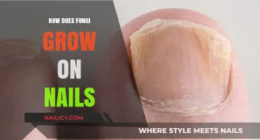 Fungal Nail Infections: Understanding the Growth Process