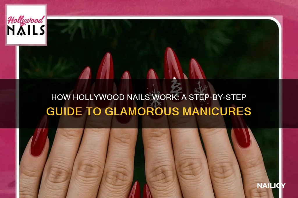 how does hollywood nails work