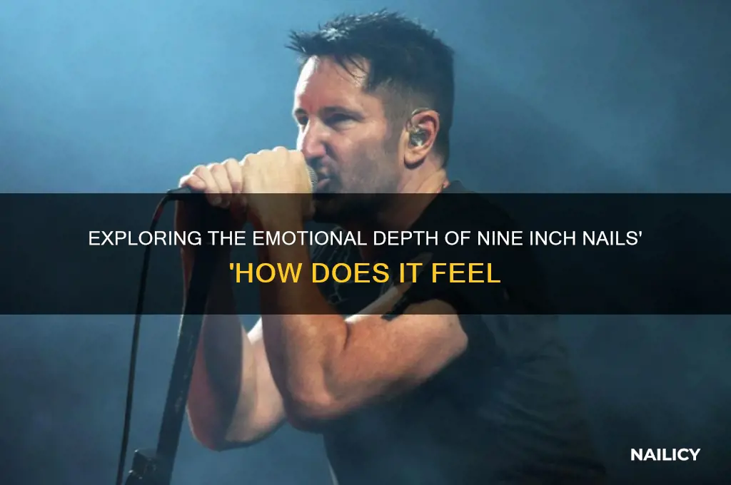 how does it feel nine inch nails
