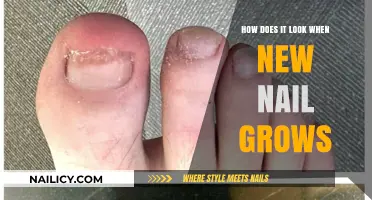 The Magic of Nail Growth: A Close-up View