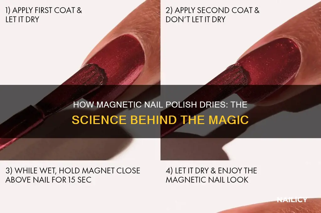 How Magnetic Nail Polish Dries: The Science Behind The Magic | Nailicy