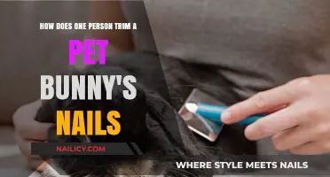 Trimming Your Pet Bunny's Nails: A Solo Guide