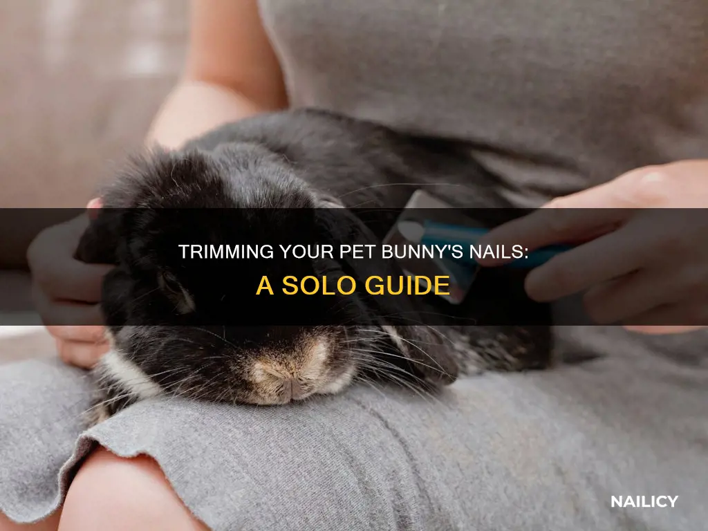 how does one person trim a pet bunny