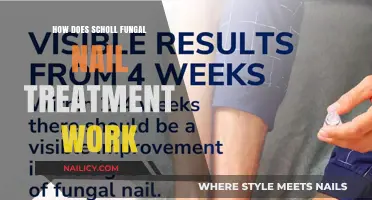 Scholl Fungal Nail Treatment: Mechanism, Effectiveness, and Application Explained
