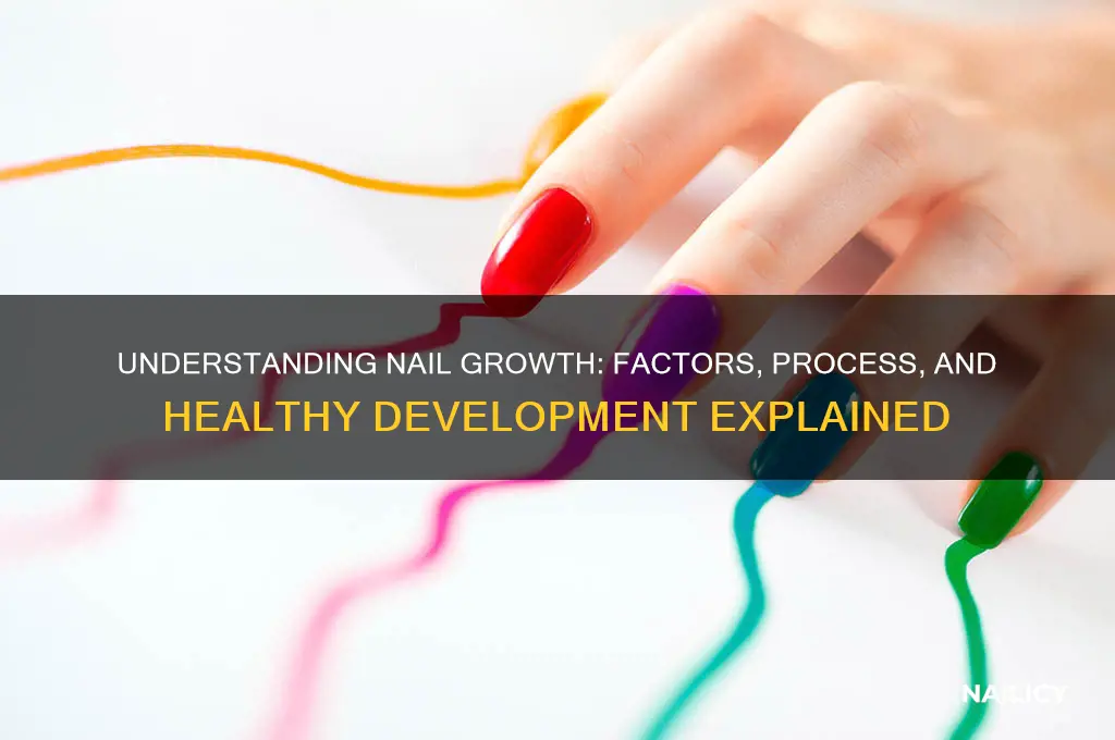 how does the nails groq