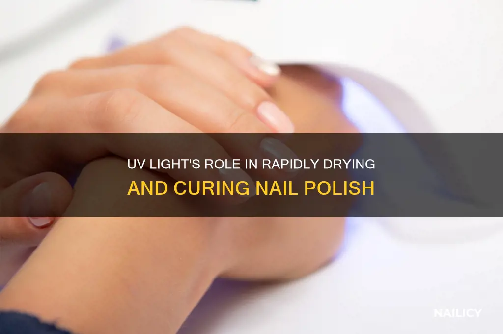 how does the uv light dry nails