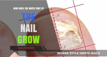 The Science Behind Nail Growth and Appearance