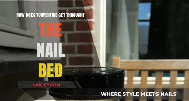 Penetration Power: How Turpentine Affects Nail Beds