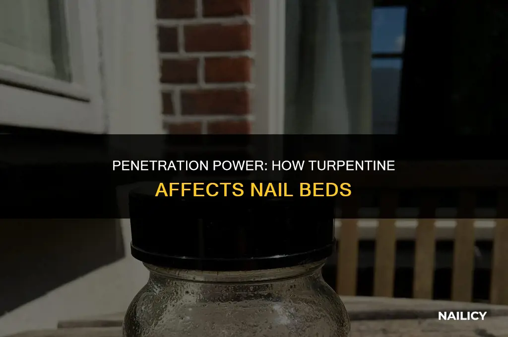 how does turpentine get throught the nail bed