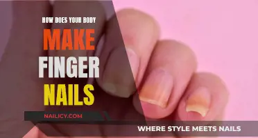 The Science of Nail Growth: How Your Body Creates Fingernails