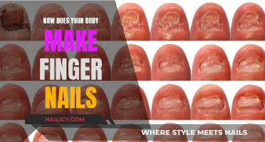 The Body's Natural Armor: Creating Finger Nails