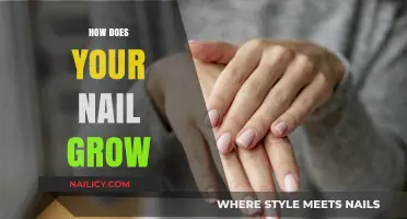 The Science Behind Nail Growth