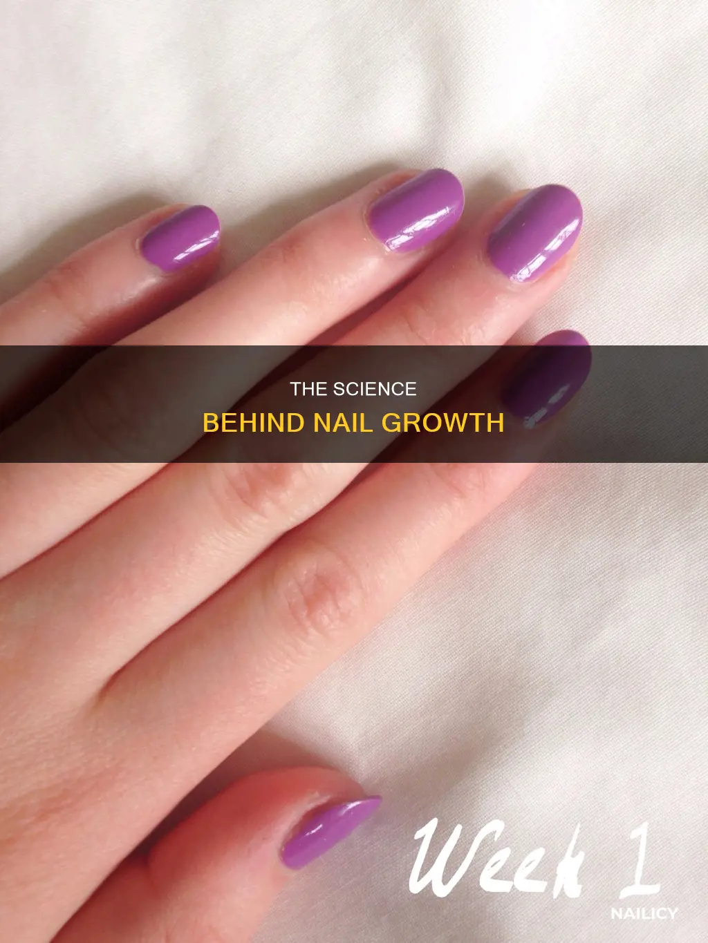 how does your nail grow