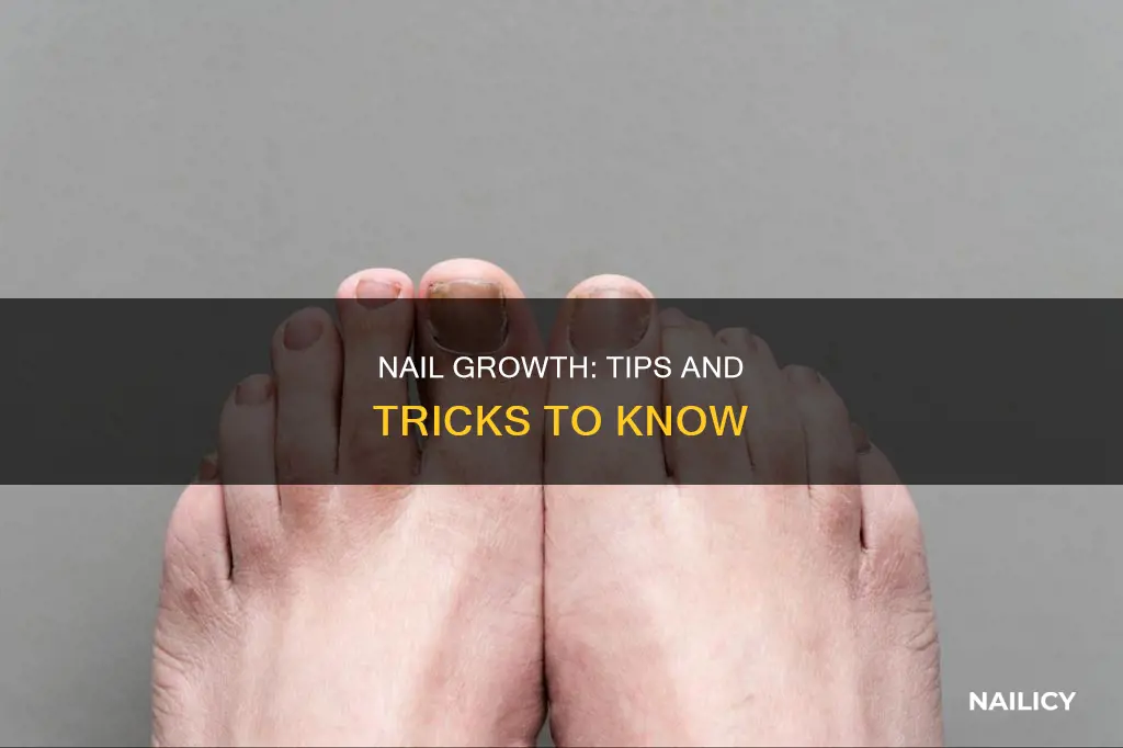 how dotoe nails grow