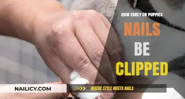 When Can You Start Trimming Your Puppy’s Nails Safely?