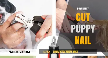 Trimming Puppy Nails: When and How Early?