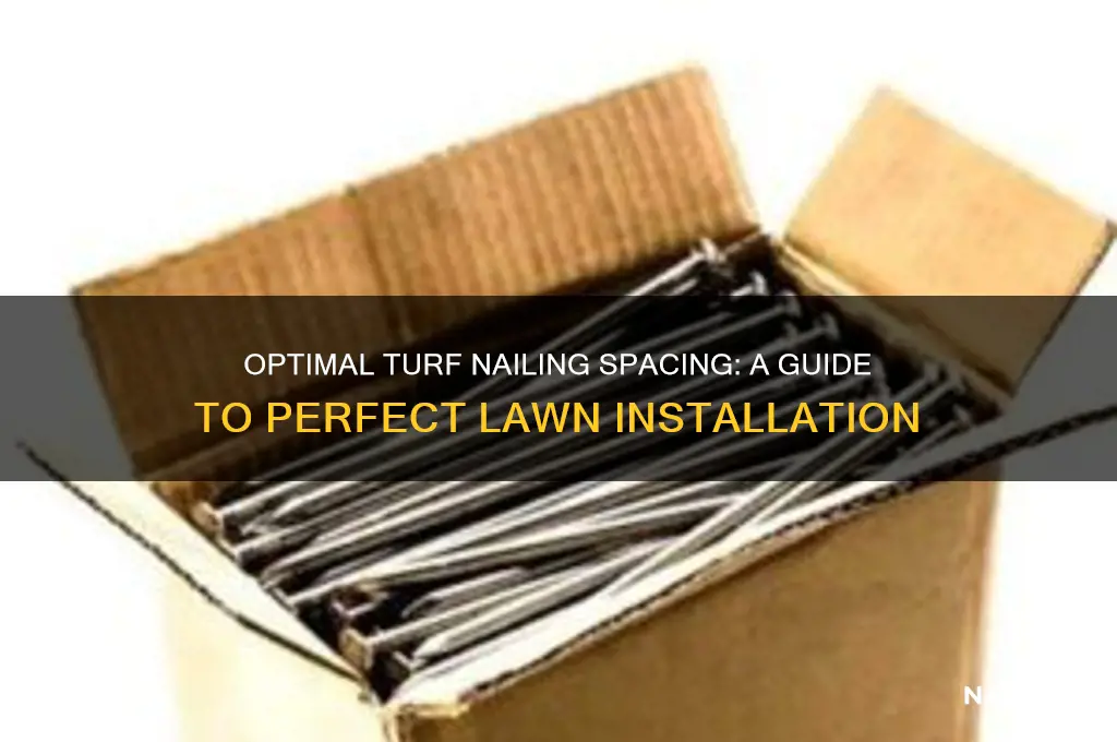 how far apart should you nail turf