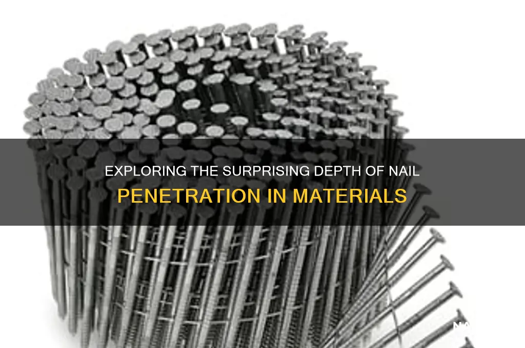 how far back does a nail go
