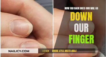 Nail Growth: Exploring the Depth of Our Fingernails