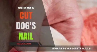 Trimming Dog Nails: How Short is Too Short?