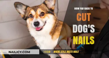 Trimming Dog Nails: How Short is Too Short?
