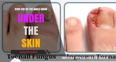 Toe Nails: How Far Under the Skin Do They Grow?