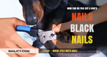 Trimming Black Nails: How Short is Too Short?