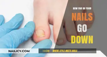 How Deep Do Your Nails Extend Beneath the Skin?