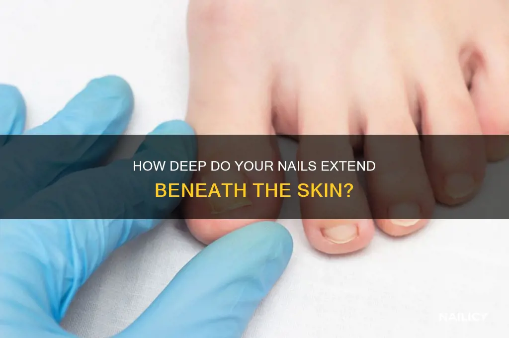 how far do your nails go down