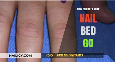 Unveiling the Surprising Depth of Your Nail Bed: A Closer Look