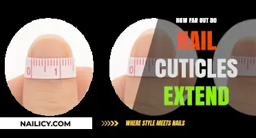 Understanding Nail Cuticle Length: How Far Do They Extend?