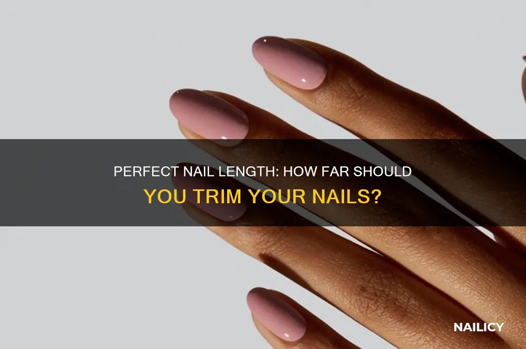how far should i trin my nails