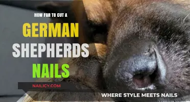 German Shepherd Nails: How Short is Too Short?